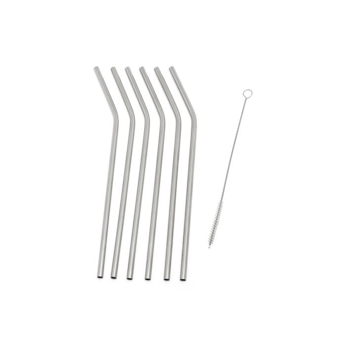 6 Stainless Steel Straws + Cleaning Brush